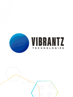 VIBRANTZ TECHNOLOGIES 